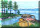 Nevada Blue Lake Trout.jpg (109771 bytes)